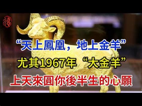 67歲屬什麼|【67年次屬】民國67年次屬什麼生肖？幾歲？一文搞。